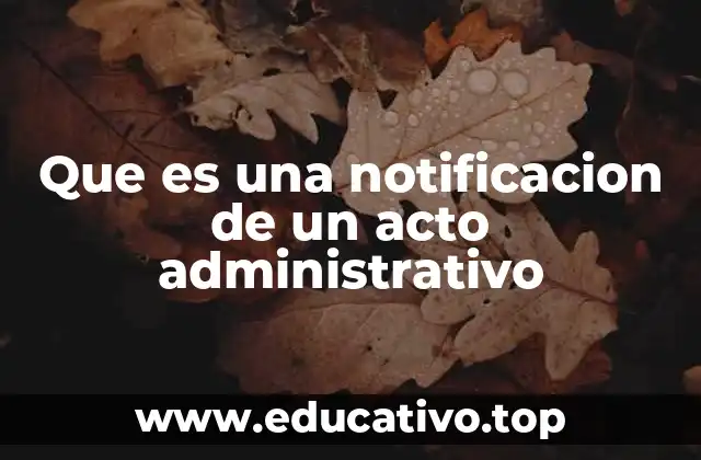 Que es una notificacion de un acto administrativo