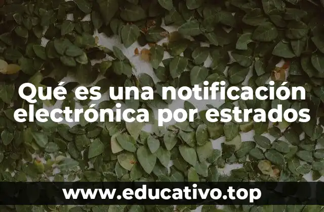 Qué es una notificación electrónica por estrados