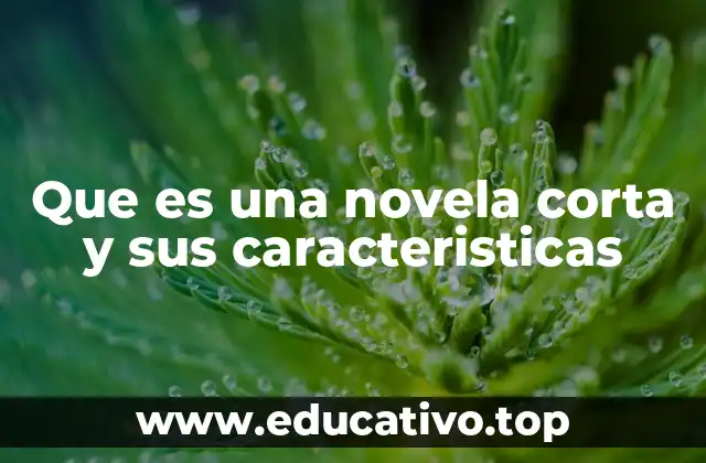 Que es una novela corta y sus caracteristicas