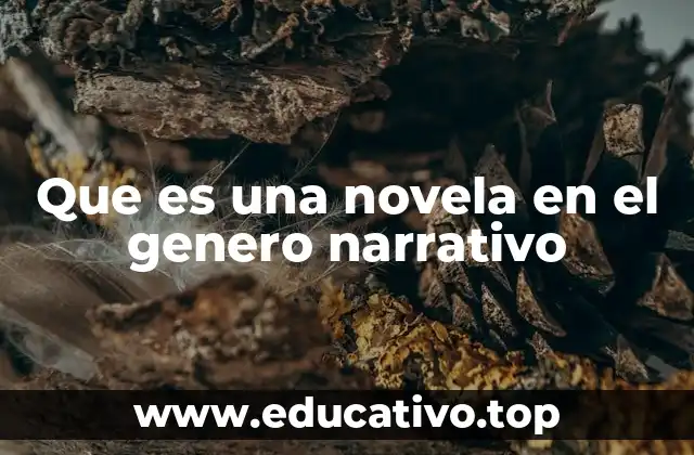 Que es una novela en el genero narrativo