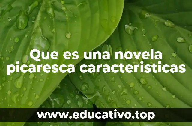 Que es una novela picaresca caracteristicas