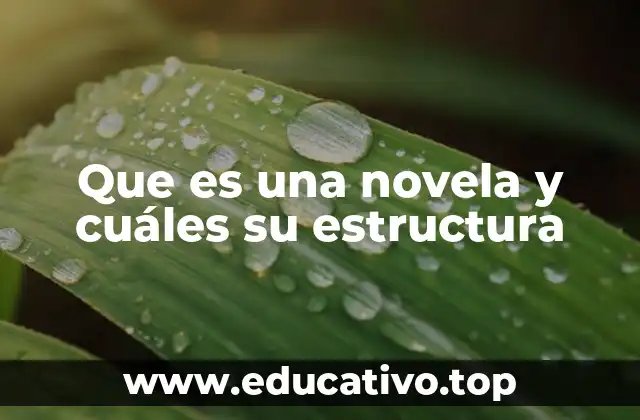 Que es una novela y cuáles su estructura