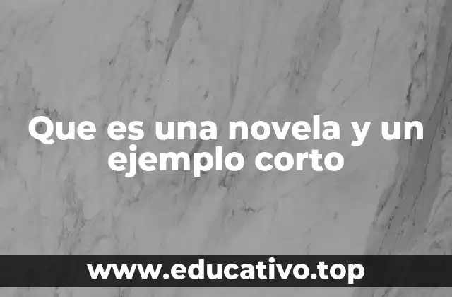 Que es una novela y un ejemplo corto