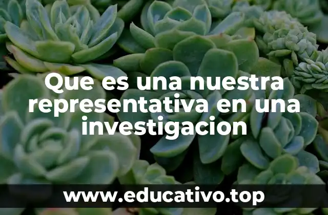 Que es una nuestra representativa en una investigacion