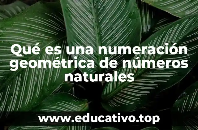 Qué es una numeración geométrica de números naturales