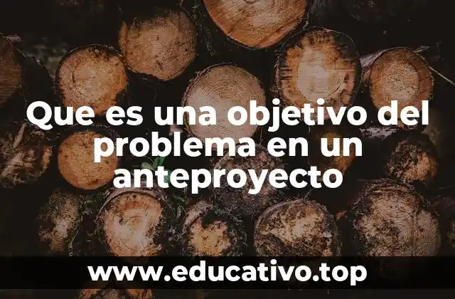 Que es una objetivo del problema en un anteproyecto