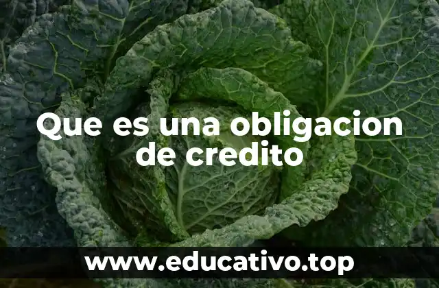 Que es una obligacion de credito