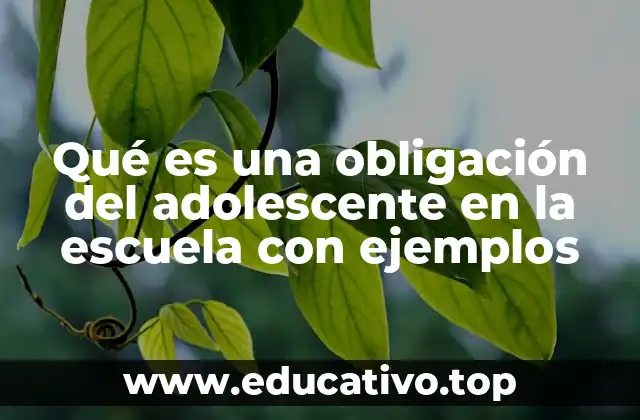 Qué es una obligación del adolescente en la escuela con ejemplos