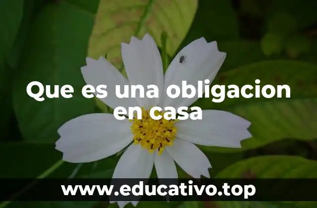 Que es una obligacion en casa
