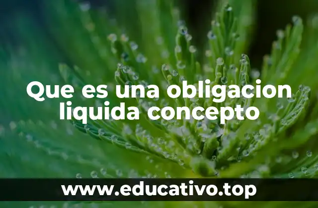 Que es una obligacion liquida concepto