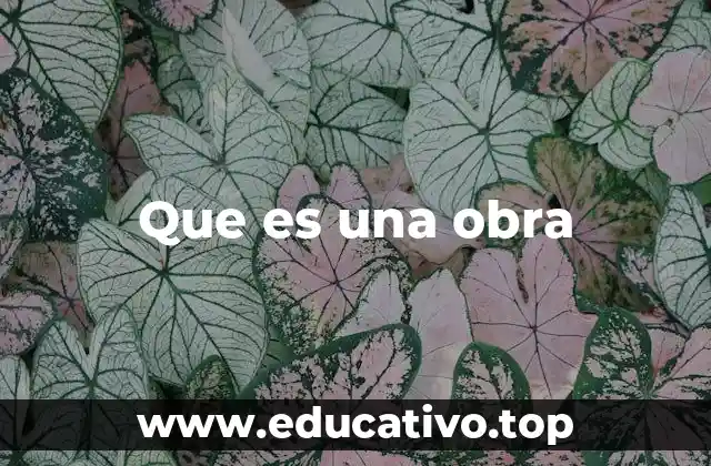 La expresión de ideas a través de la creación