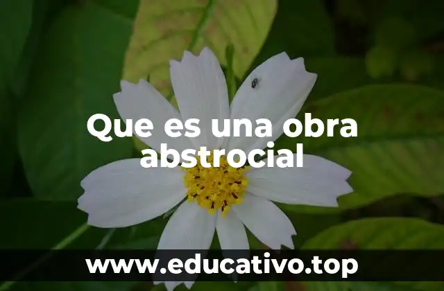 Que es una obra abstrocial