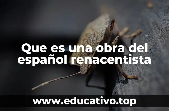 Que es una obra del español renacentista