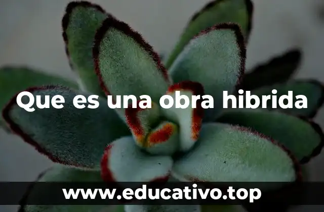 Que es una obra hibrida