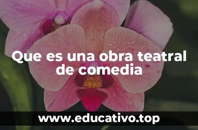 Que es una obra teatral de comedia