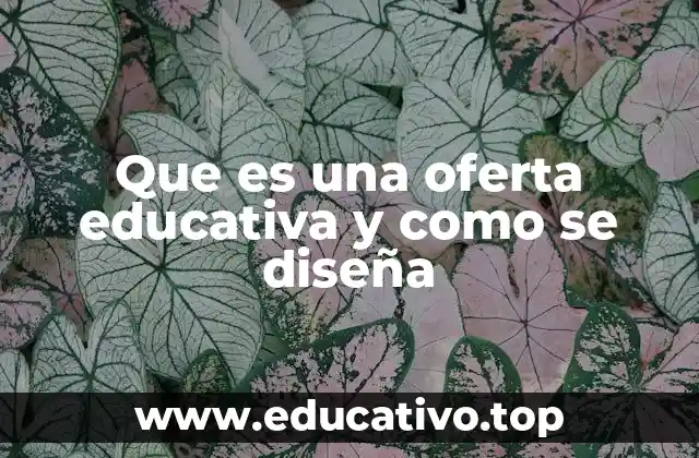 Que es una oferta educativa y como se diseña