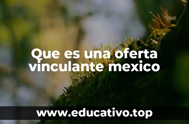 Que es una oferta vinculante mexico