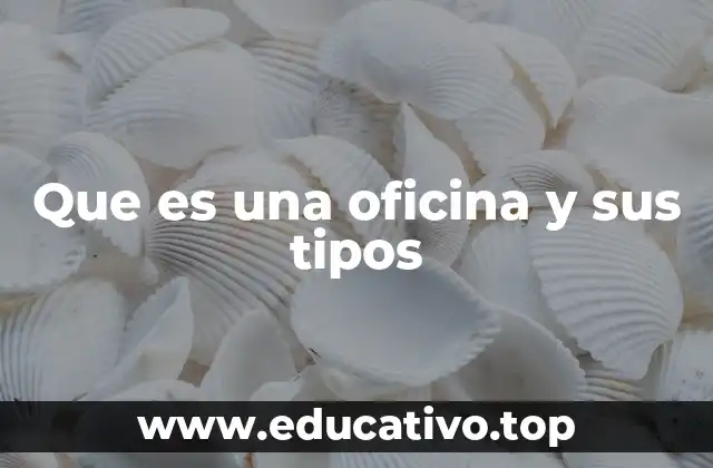 Que es una oficina y sus tipos