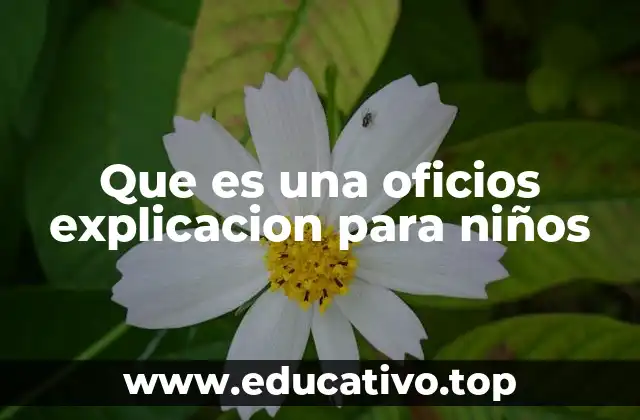 Que es una oficios explicacion para niños