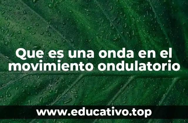 Que es una onda en el movimiento ondulatorio
