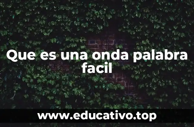 Que es una onda palabra facil