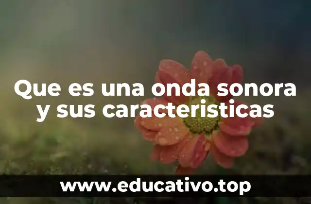 Que es una onda sonora y sus caracteristicas