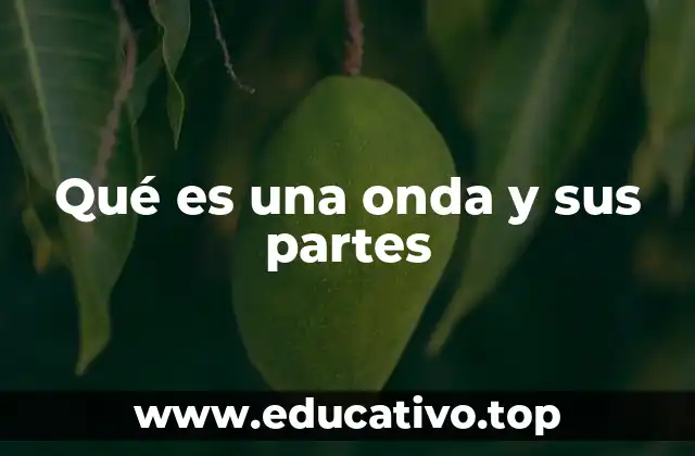 Qué es una onda y sus partes
