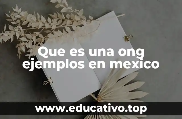 Que es una ong ejemplos en mexico
