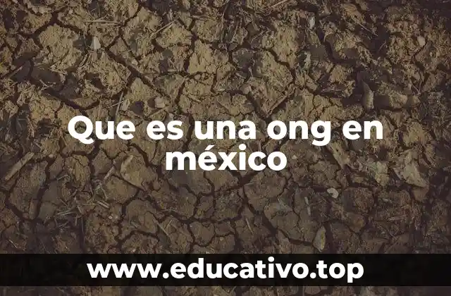 Que es una ong en méxico
