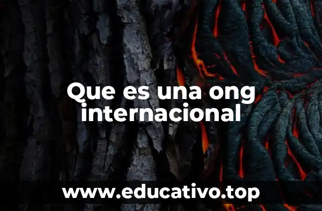 El papel de las organizaciones en la sociedad global