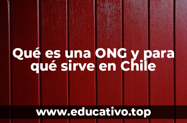 Qué es una ONG y para qué sirve en Chile