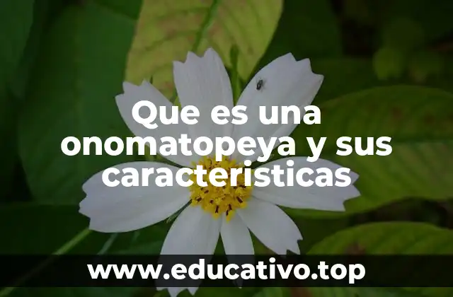 Que es una onomatopeya y sus caracteristicas