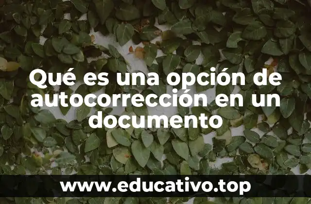 Qué es una opción de autocorrección en un documento