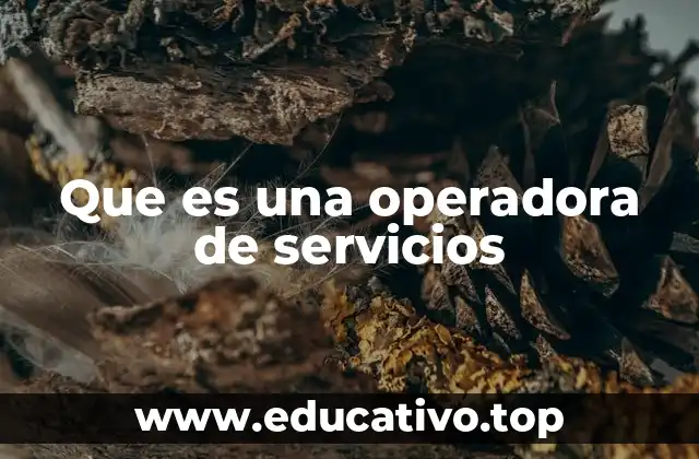 Que es una operadora de servicios