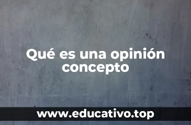 Qué es una opinión concepto