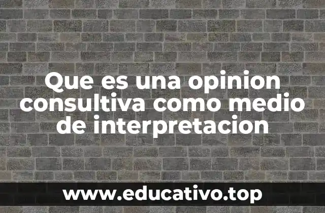 Que es una opinion consultiva como medio de interpretacion