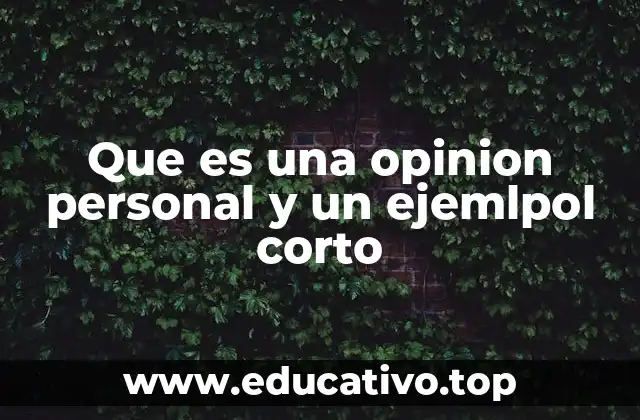 Que es una opinion personal y un ejemlpol corto