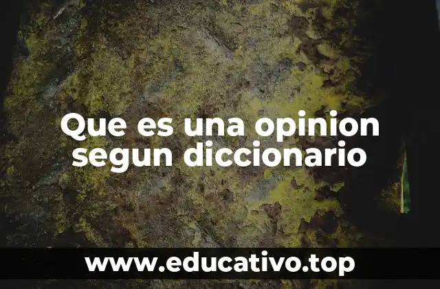 Que es una opinion segun diccionario