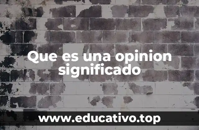 Que es una opinion significado