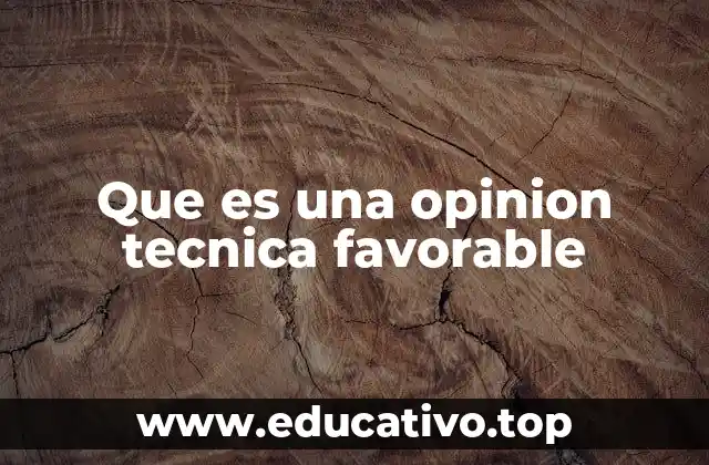 Que es una opinion tecnica favorable