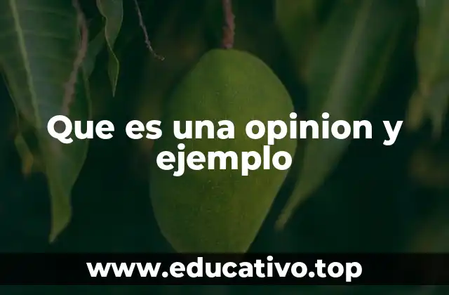 Que es una opinion y ejemplo