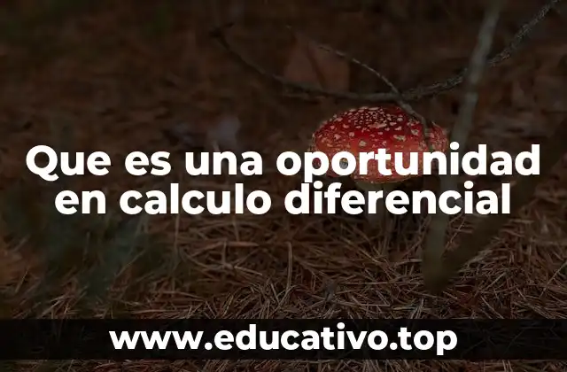 Cómo el cálculo diferencial identifica puntos críticos