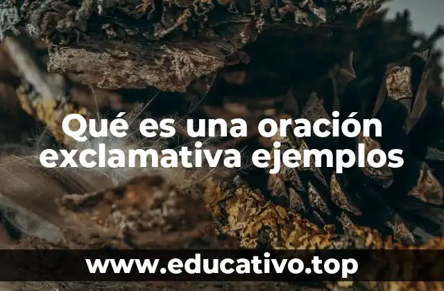 Qué es una oración exclamativa ejemplos