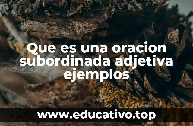 Que es una oracion subordinada adjetiva ejemplos