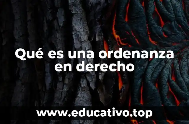 Qué es una ordenanza en derecho