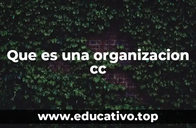 Características de las organizaciones CC