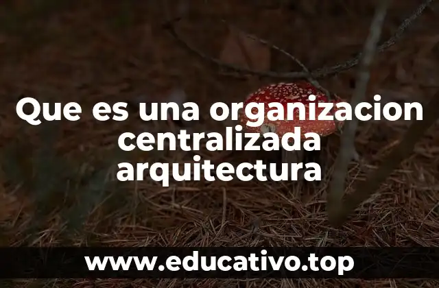 Que es una organizacion centralizada arquitectura