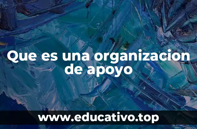 Que es una organizacion de apoyo