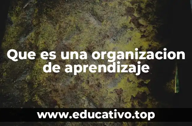 Que es una organizacion de aprendizaje