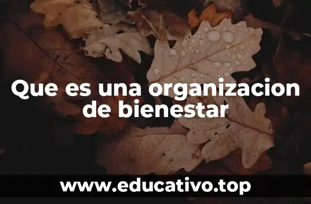 Que es una organizacion de bienestar
